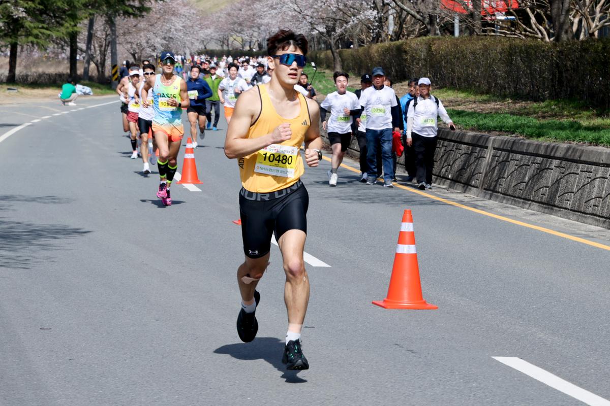 제23회 합천 벚꽃마라톤대회1