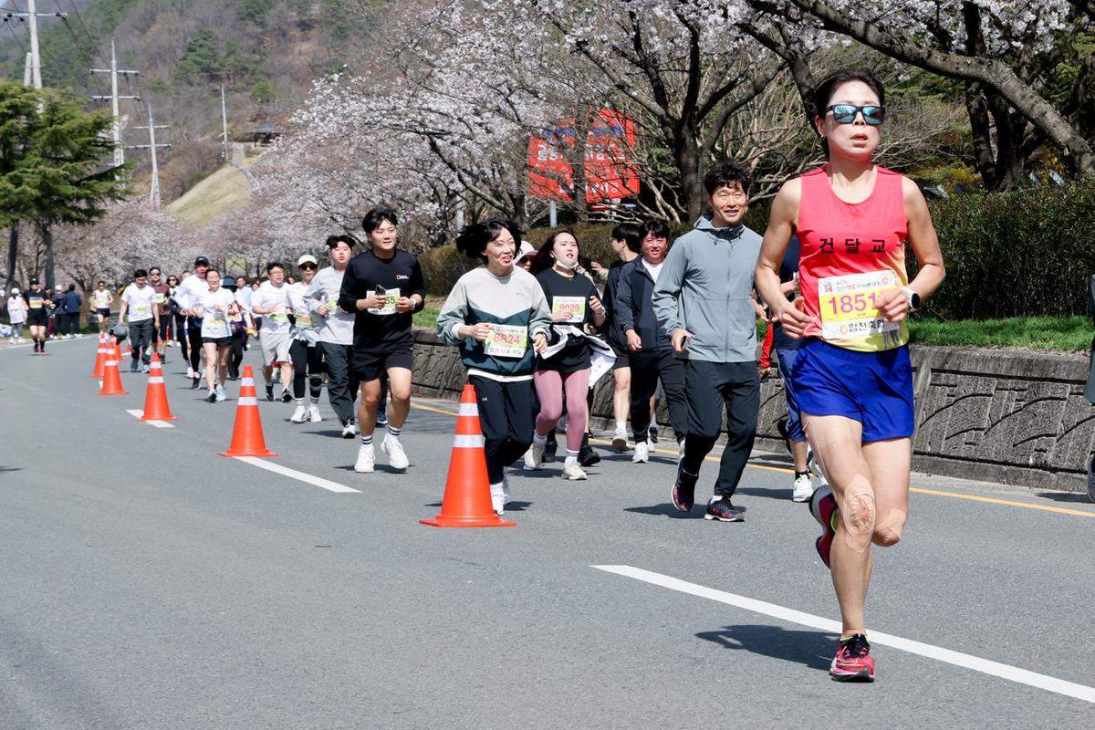 제23회 합천 벚꽃마라톤대회1