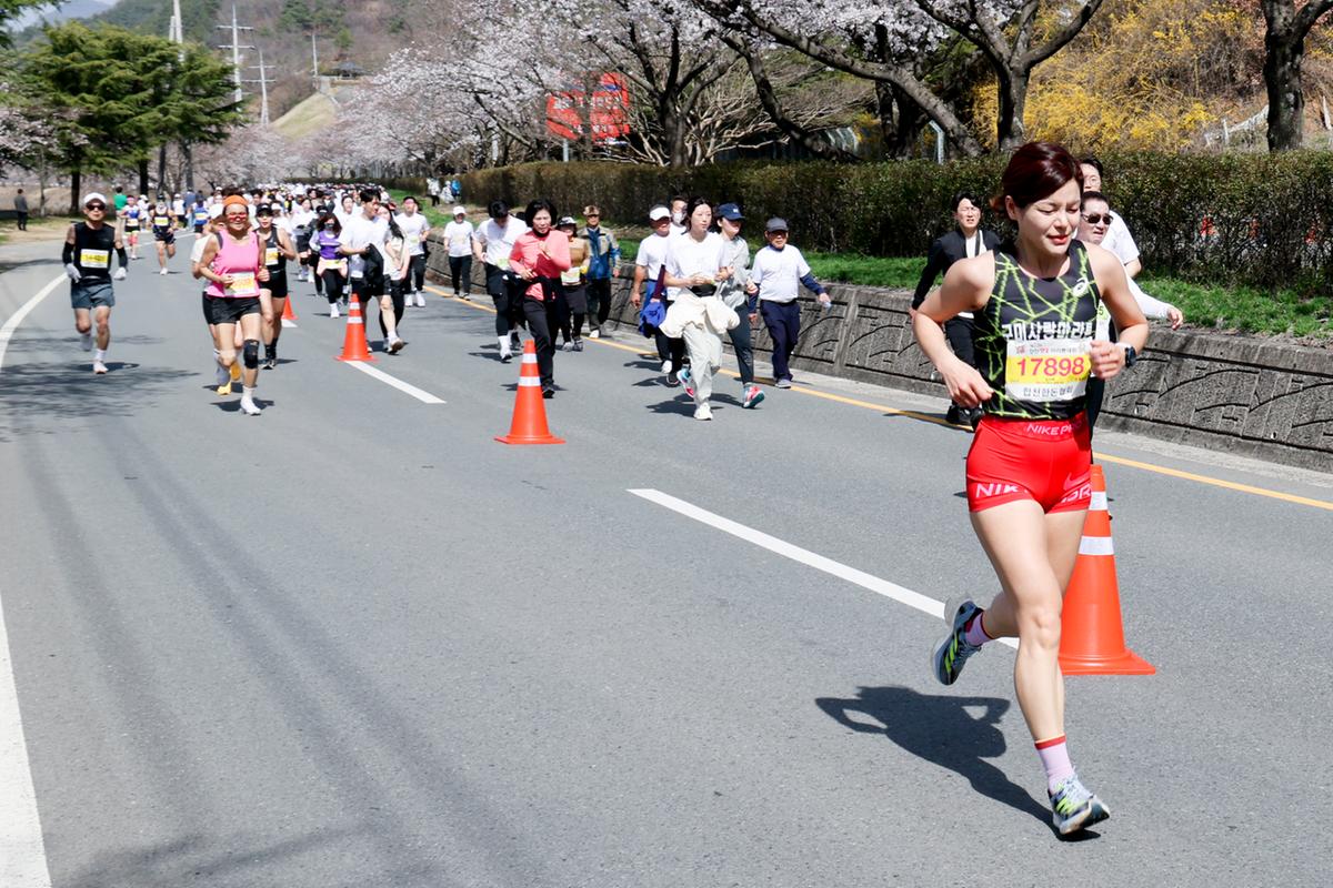 제23회 합천 벚꽃마라톤대회1