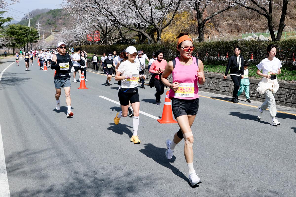제23회 합천 벚꽃마라톤대회1