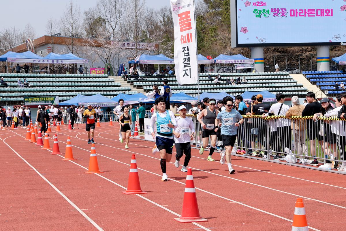 제23회 합천 벚꽃마라톤대회1
