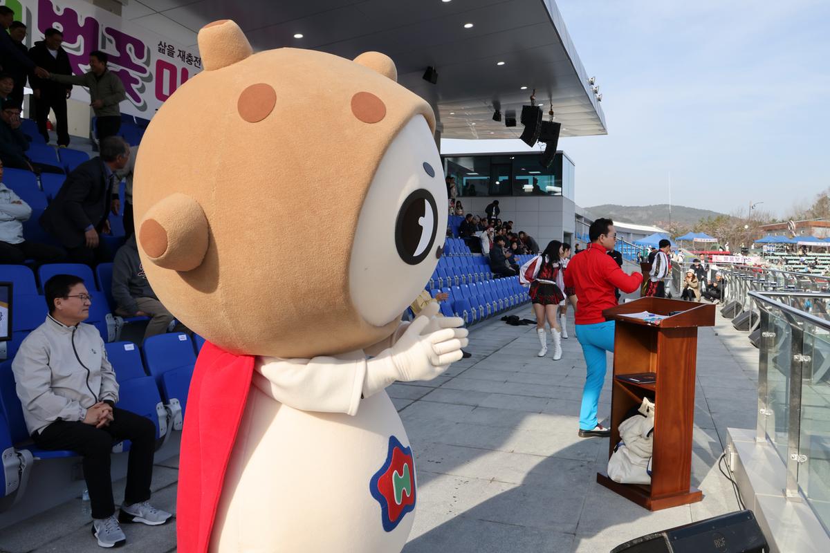 제23회 합천 벚꽃마라톤대회2