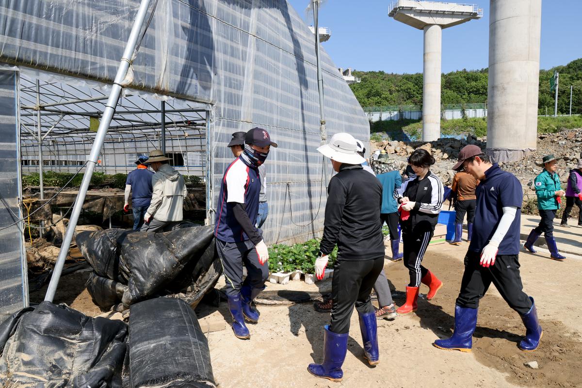 대양면 수해 피해복구 현장