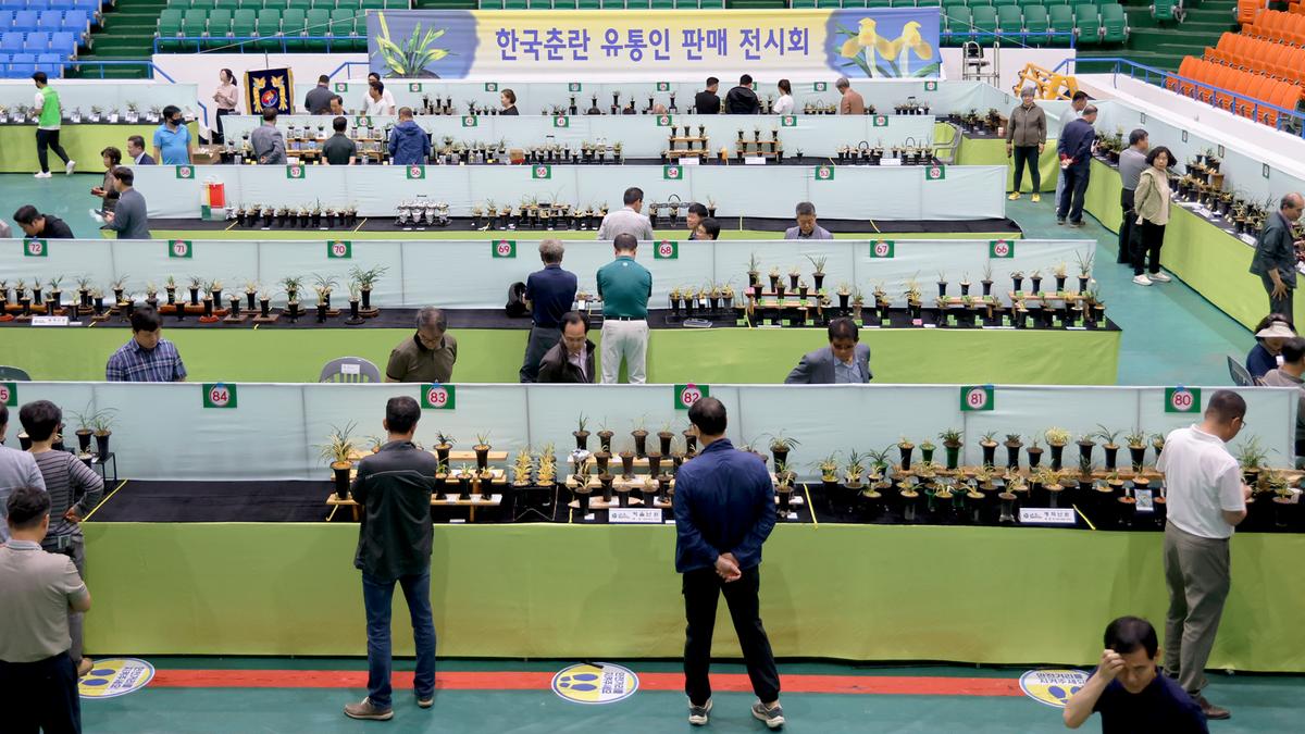 제8회 난인의 날 페스티벌