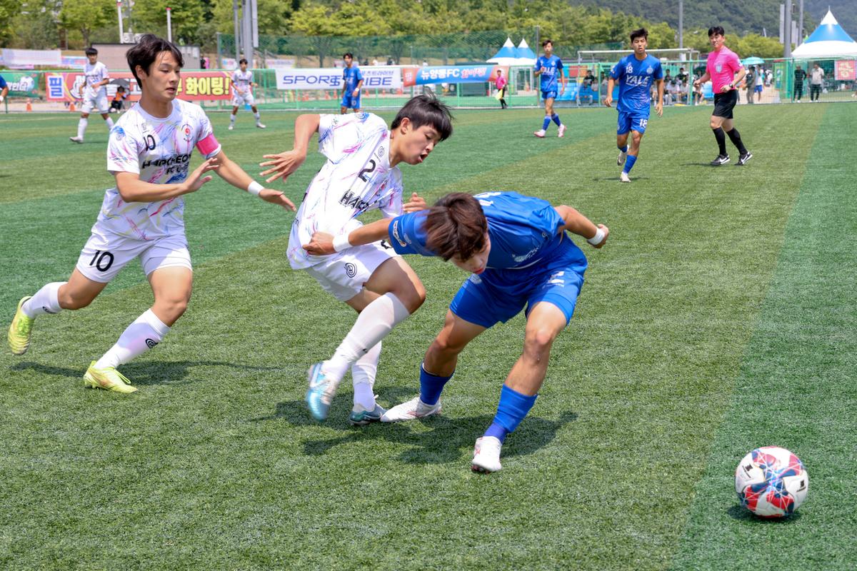 제29회 무학기 전국고등학교 축구대회