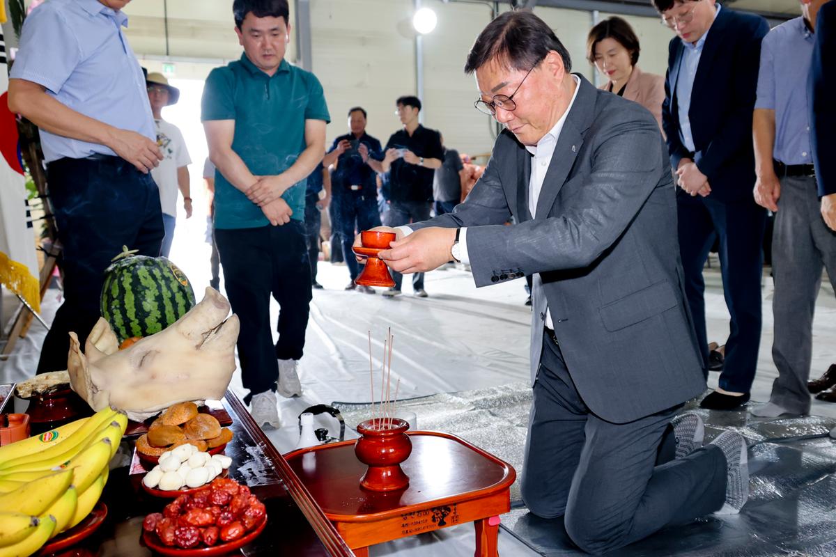 마늘 이동경매 초매식