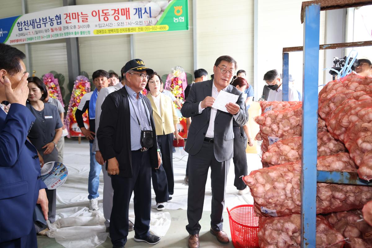 마늘 이동경매 초매식