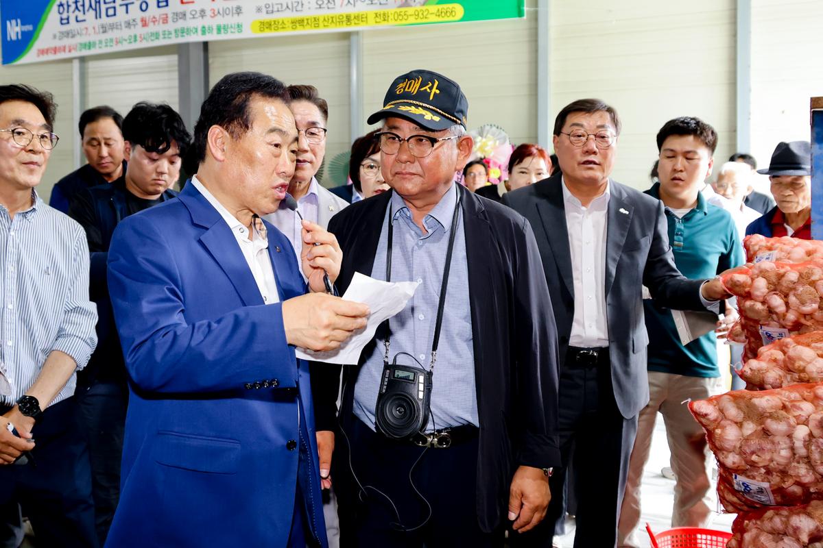 마늘 이동경매 초매식