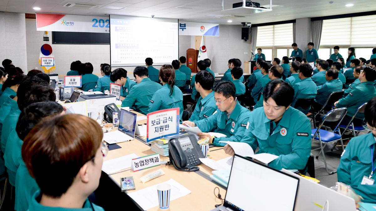 일일상황 보고회의