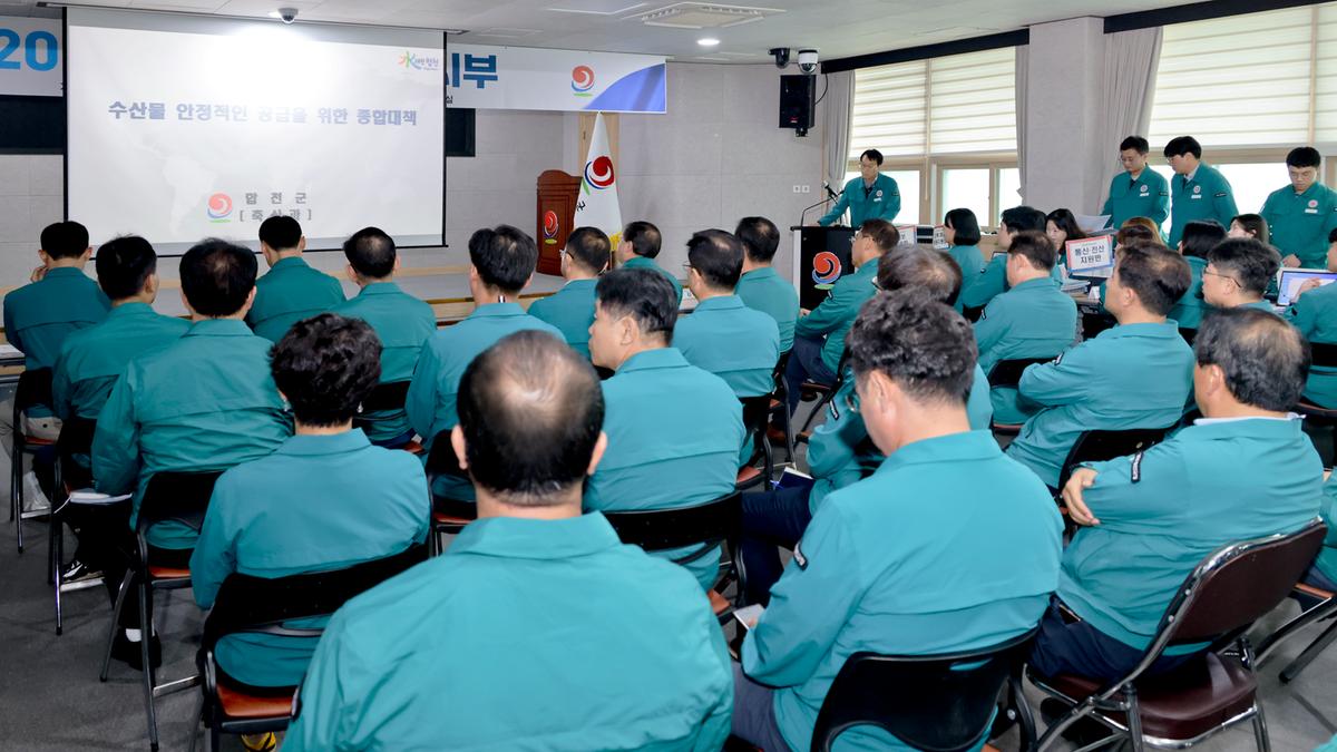 일일상황 보고회의