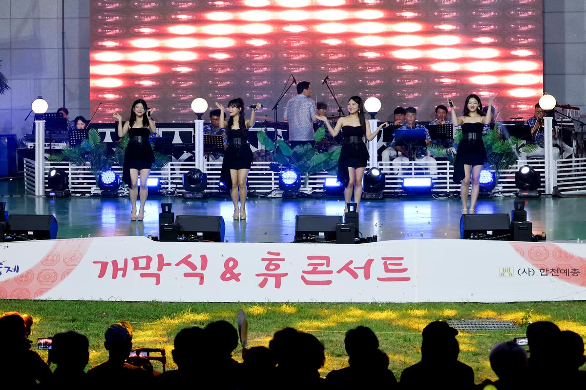 제20회 합천예술제 개막식