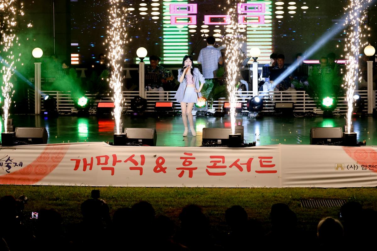 제20회 합천예술제 개막식
