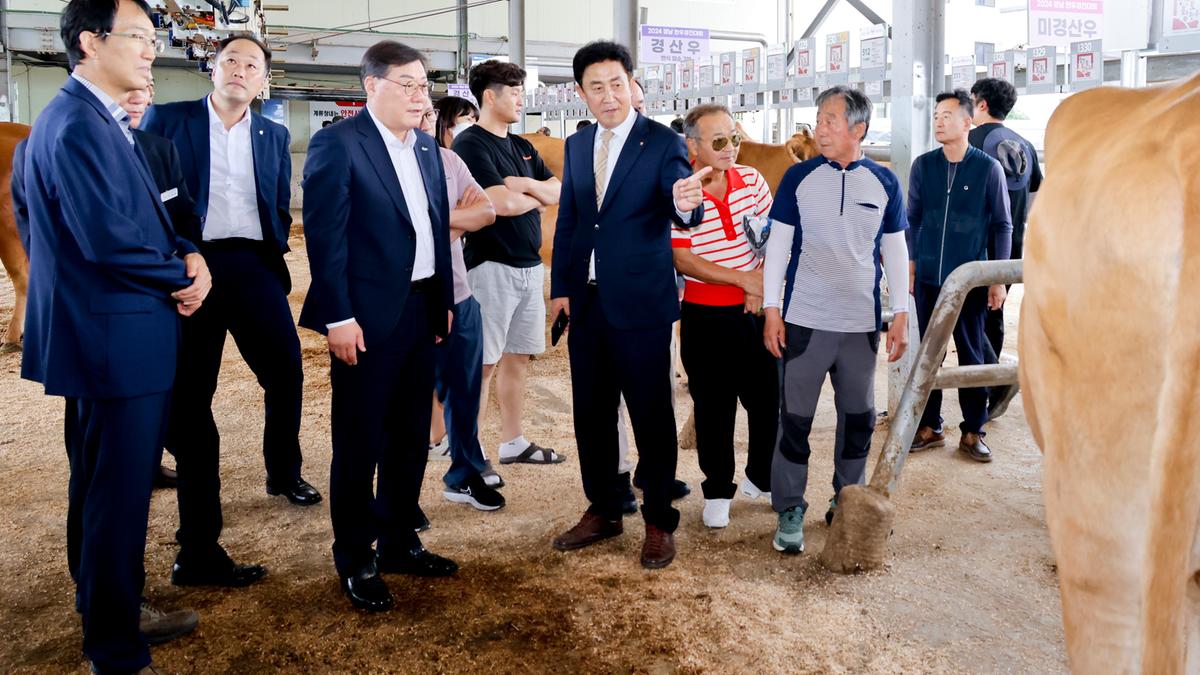 제9회 경남 한우 품평회