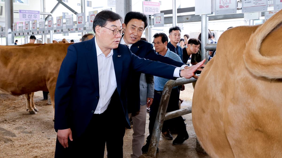 제9회 경남 한우 품평회