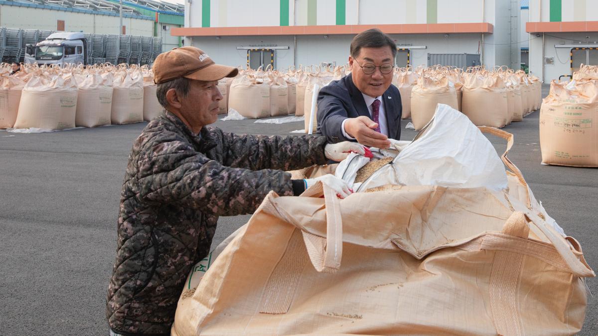  공공비축미곡 초매식