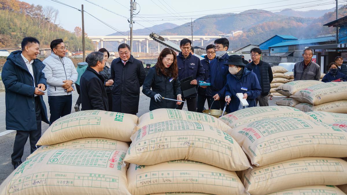 공공비축미곡 수매 현장 방문_대양