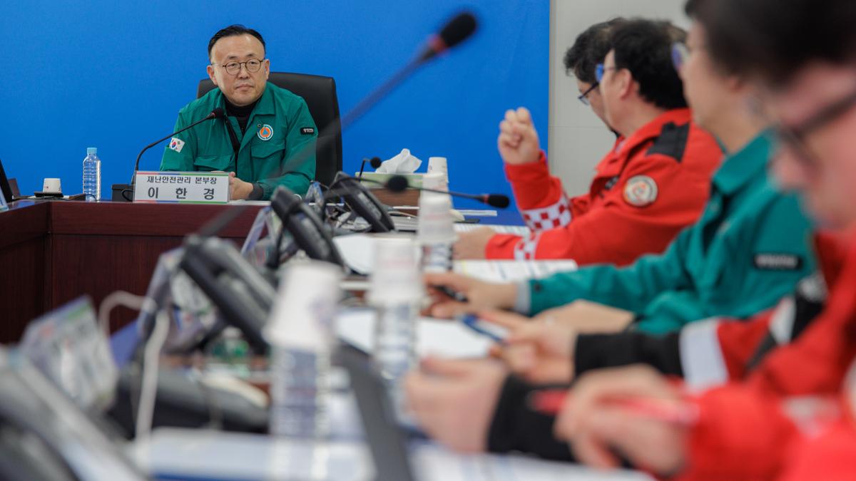 산불대비태세 및 불법소각 근절대책