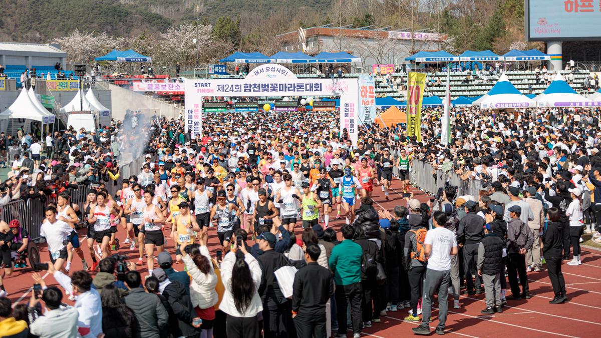 제24회 합천벚꽃마라톤대회