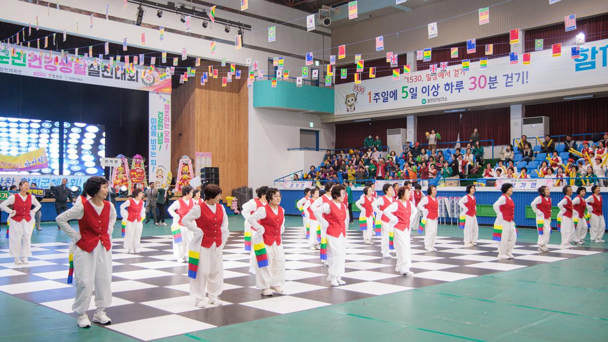 제17회 군민건강생활실천대회