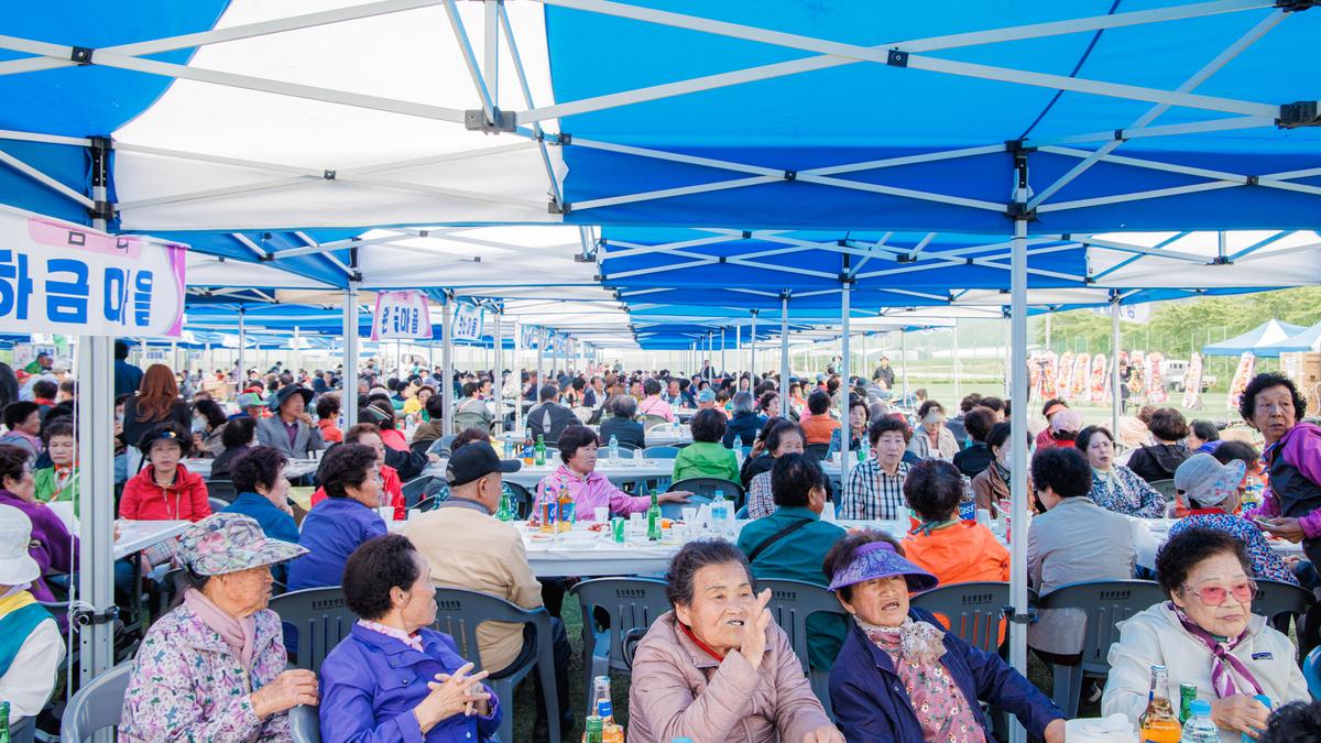 제37회 삼가면민 체육대회 및 제29회 노인의날 기념행사