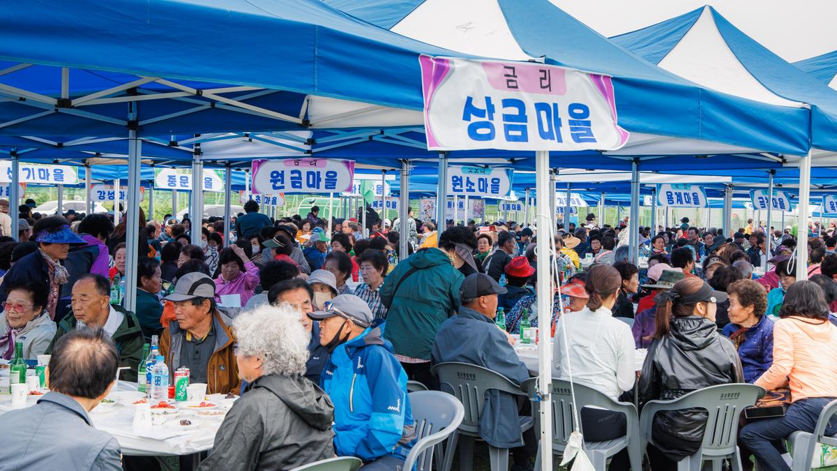 제37회 삼가면민 체육대회 및 제29회 노인의날 기념행사