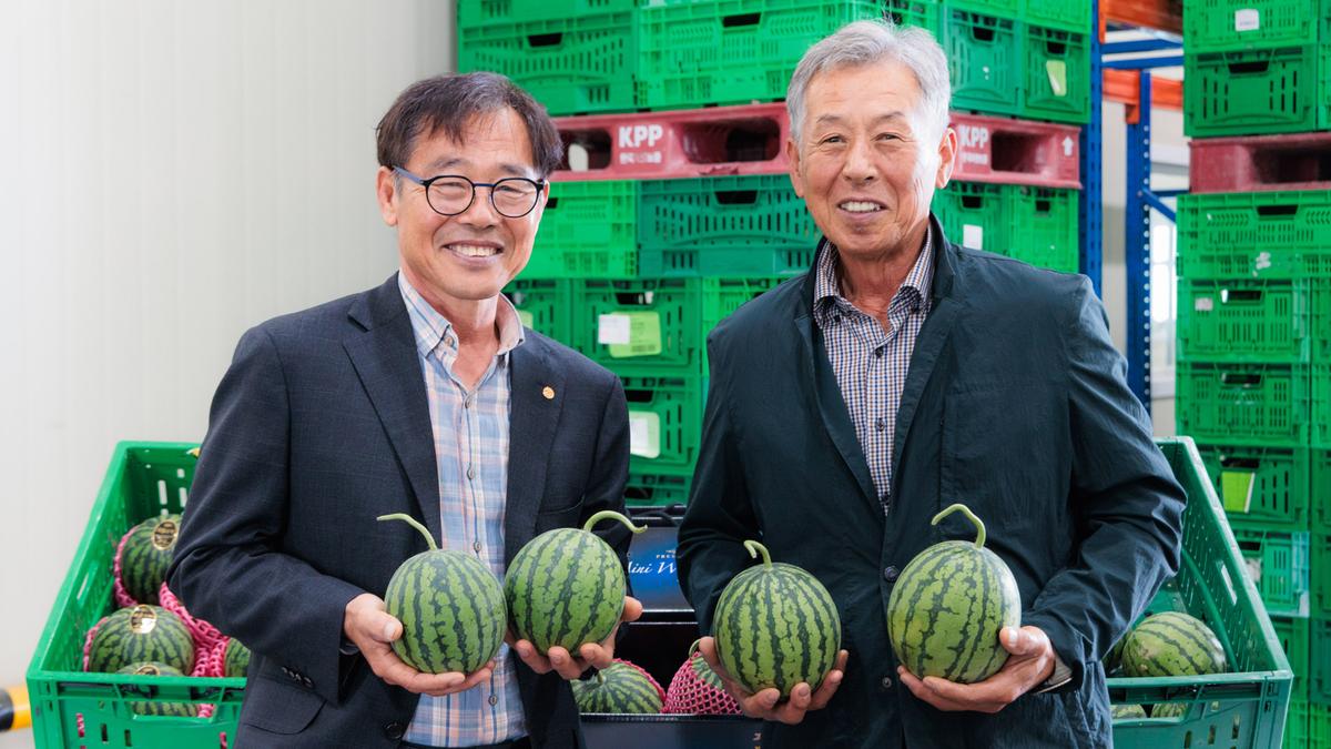 애플수박 출하 홍보 행사