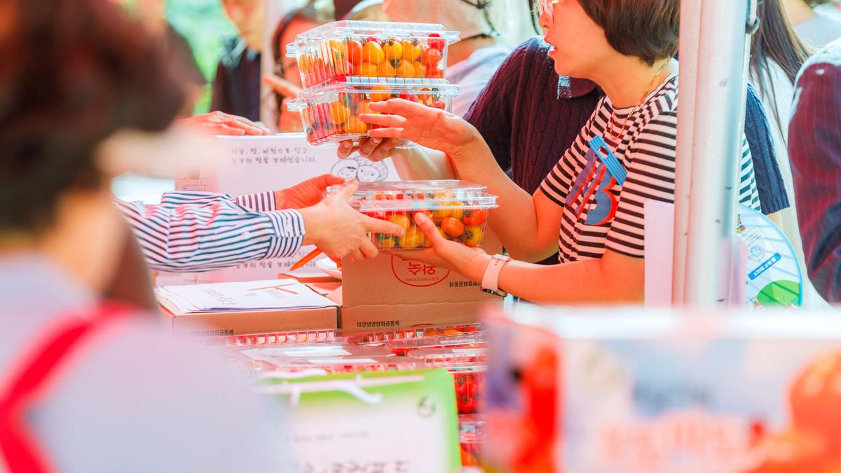 제4회 합천대양 유기농 토마토 축제