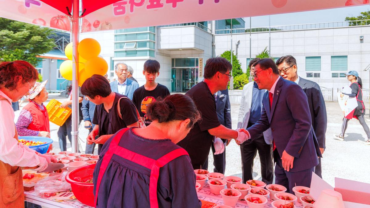 제4회 합천대양 유기농 토마토 축제