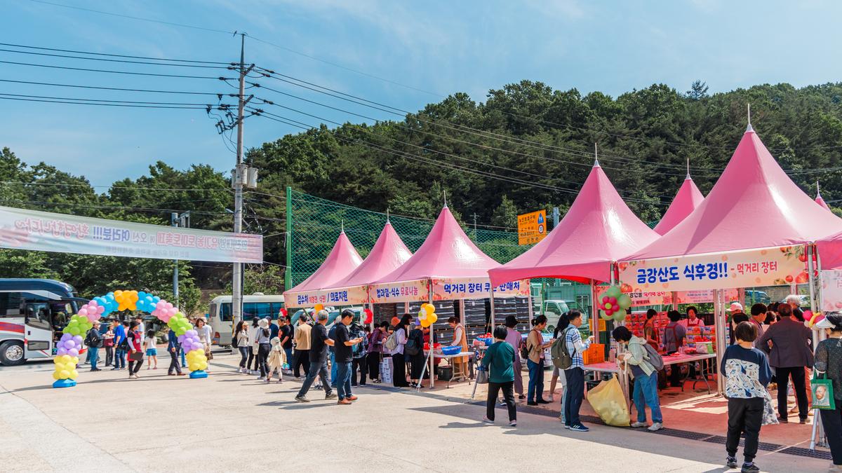 제4회 합천대양 유기농 토마토 축제