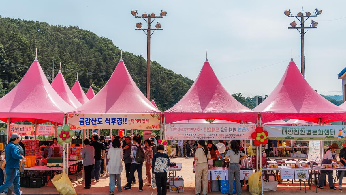 제4회 합천대양 유기농 토마토 축제
