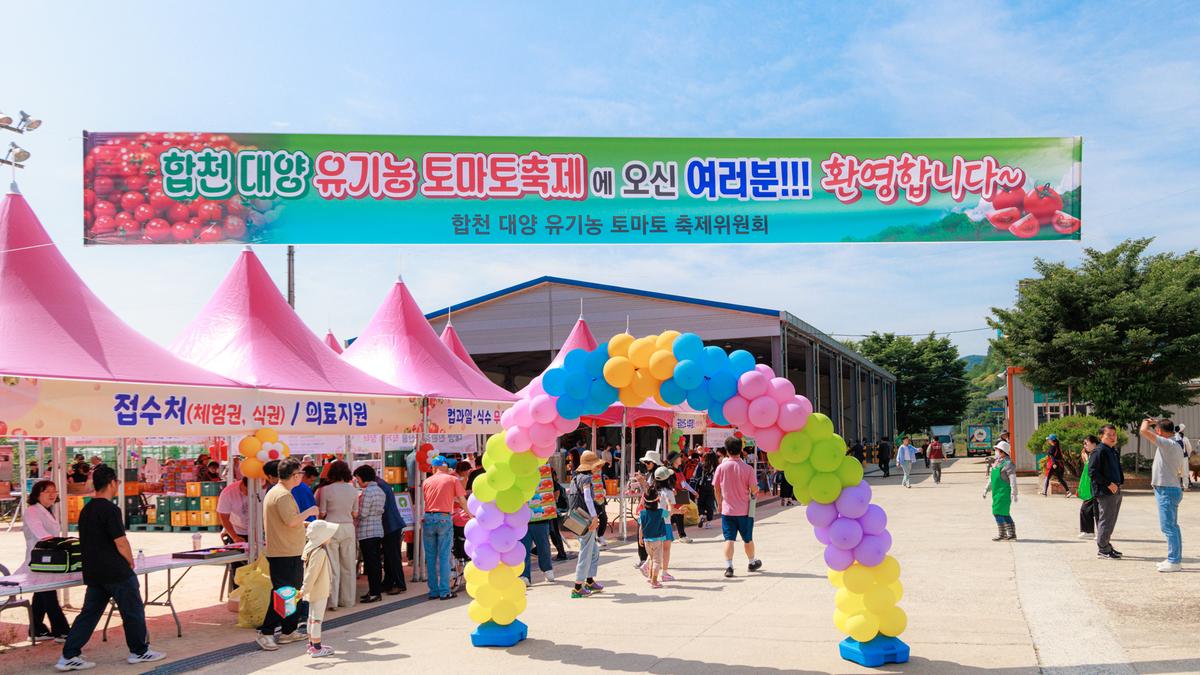 제4회 합천대양 유기농 토마토 축제