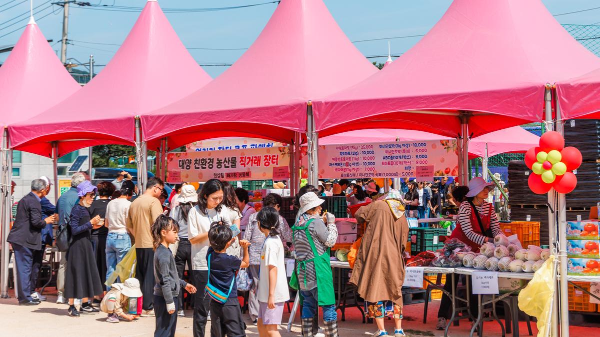 제4회 합천대양 유기농 토마토 축제