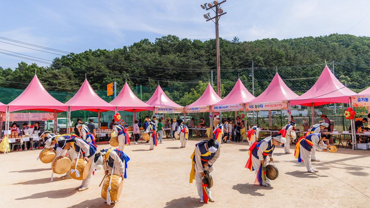 제4회 합천대양 유기농 토마토 축제