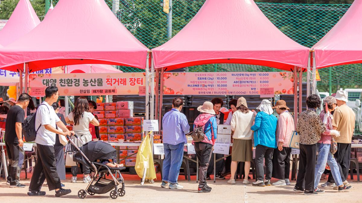 제4회 합천대양 유기농 토마토 축제