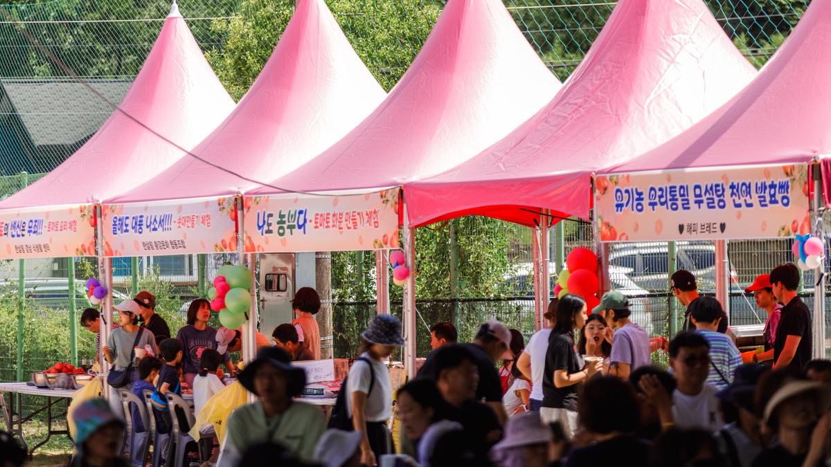제4회 합천대양 유기농 토마토 축제