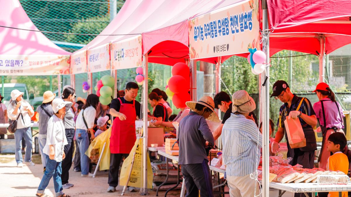 제4회 합천대양 유기농 토마토 축제