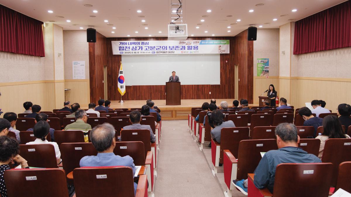 합천 삼가 고분군 종합연구 학술대회