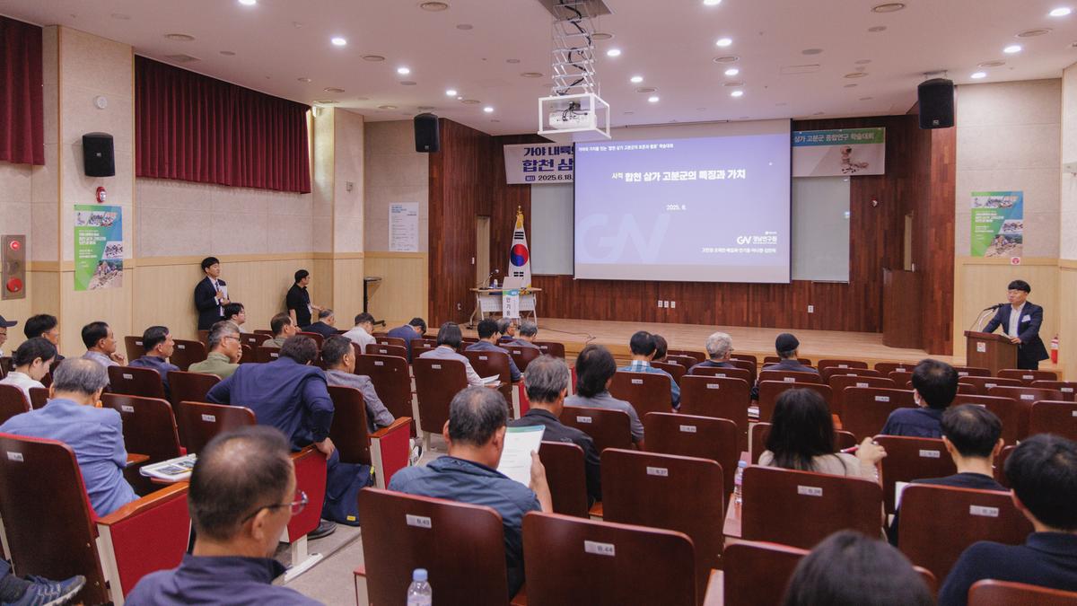 합천 삼가 고분군 종합연구 학술대회