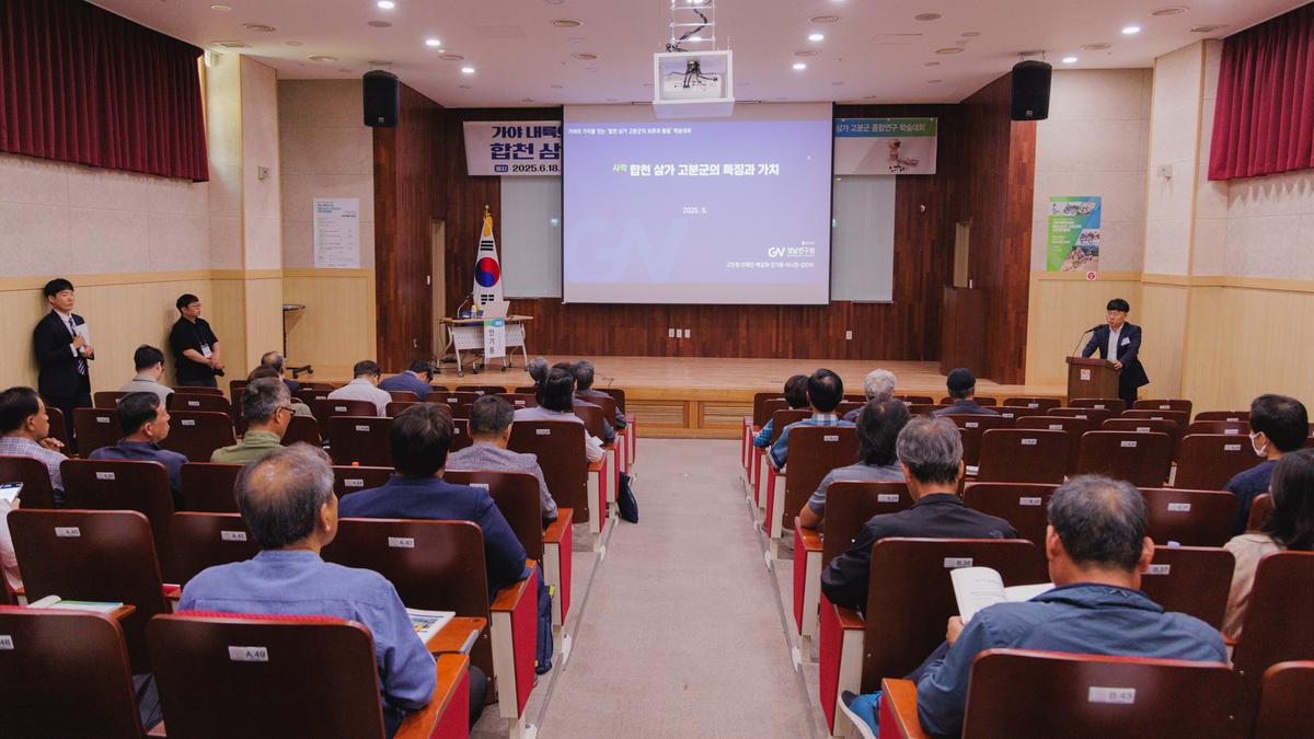 합천 삼가 고분군 종합연구 학술대회