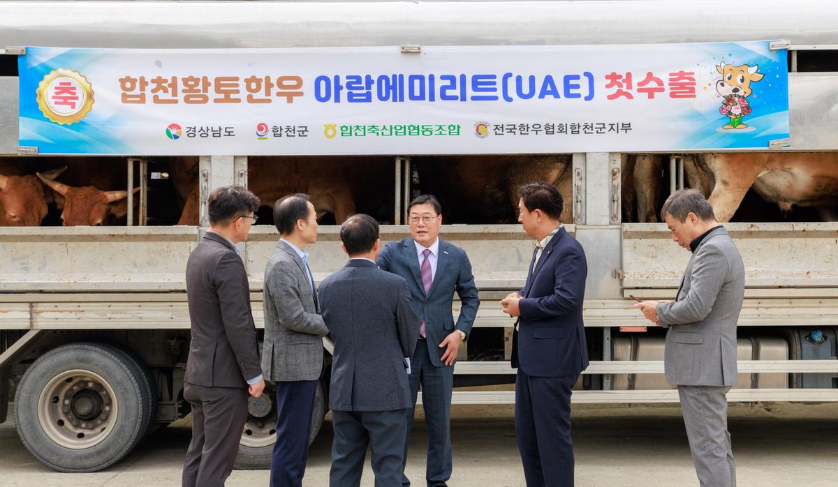 합천황토한우 출하식