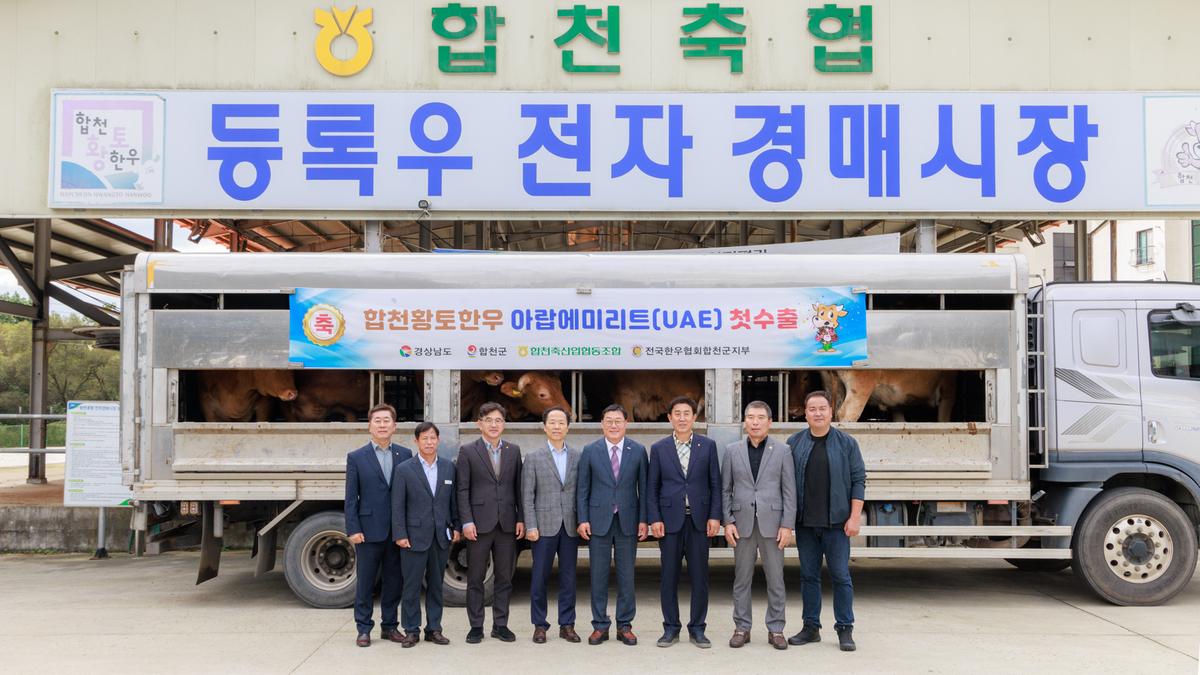 합천황토한우 출하식