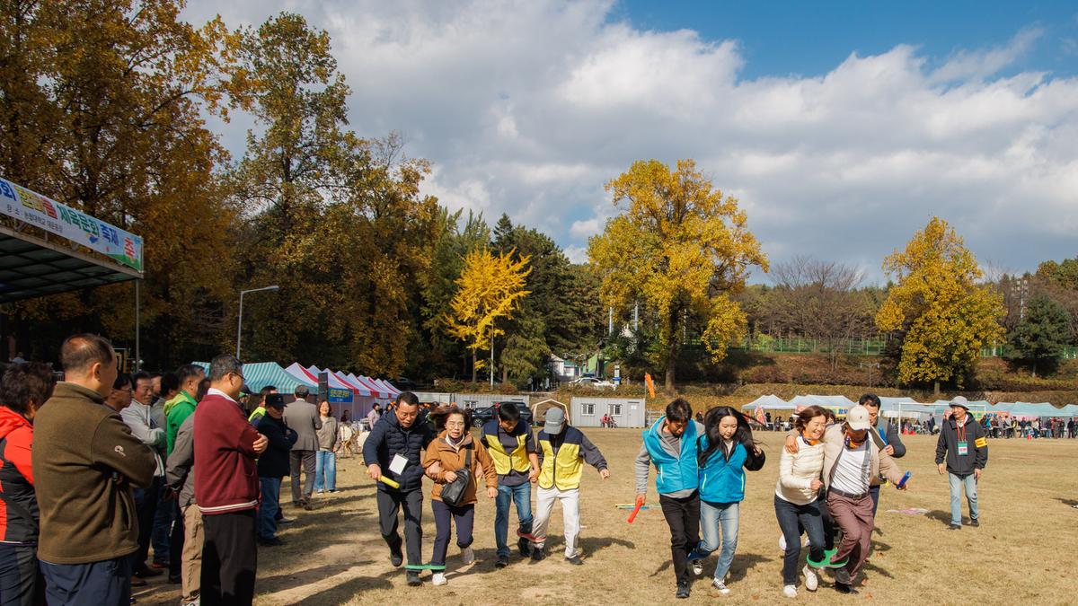 재경합천군향우회 제38회 한마음 체육문화 축제