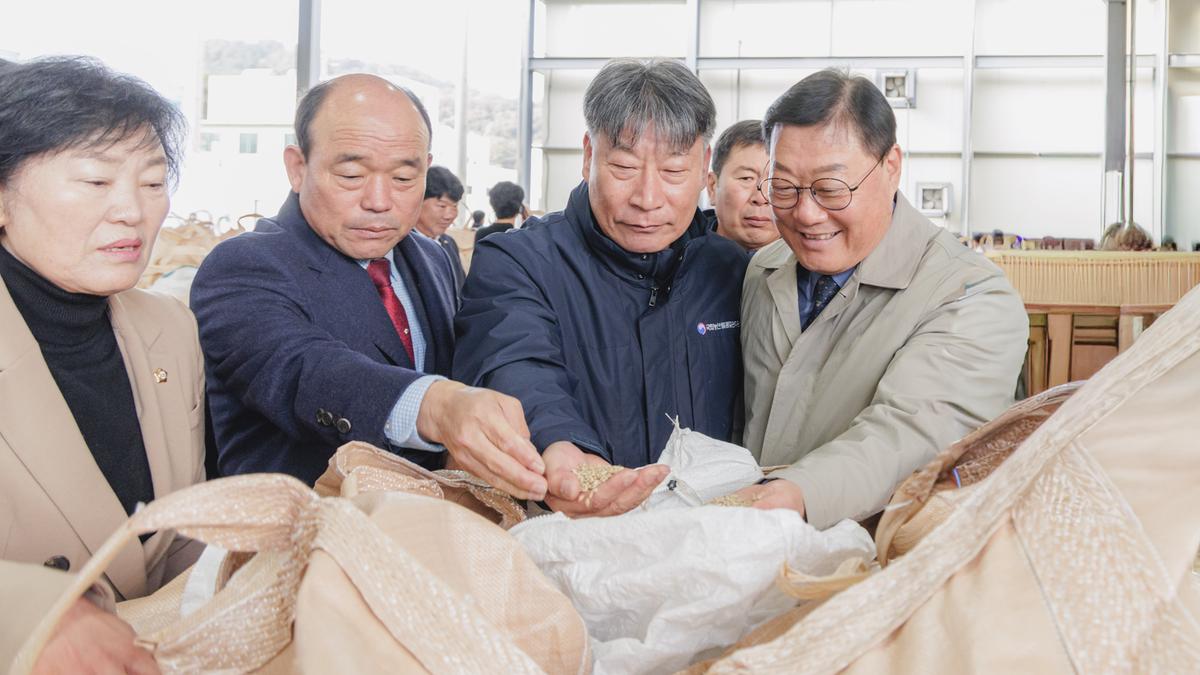 공공비축미곡 초매식