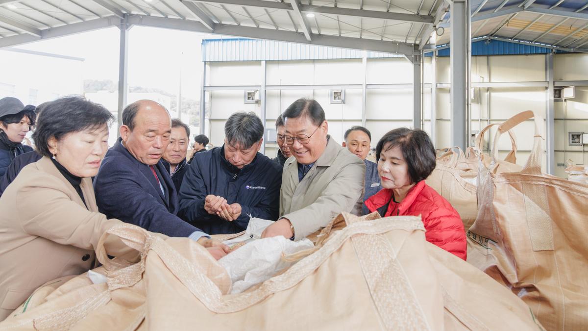 공공비축미곡 초매식
