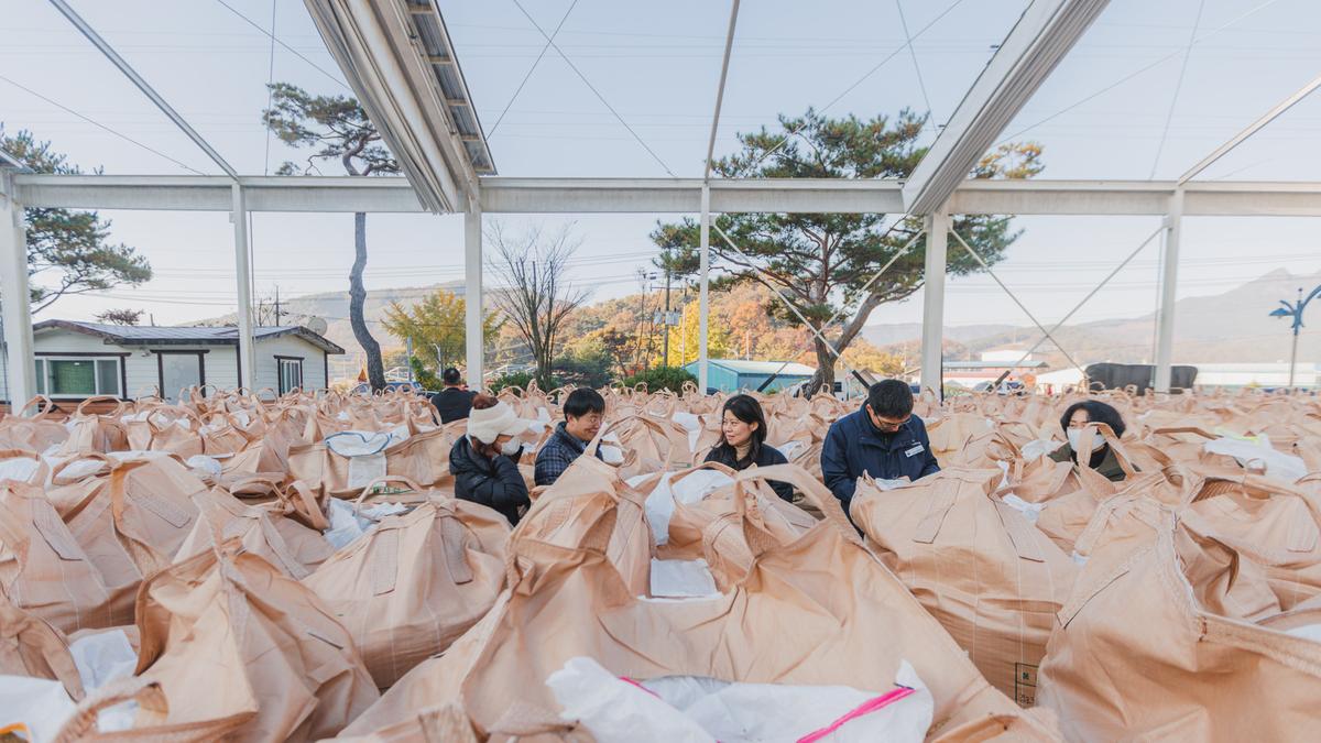 공공비축미곡 수매_가회면