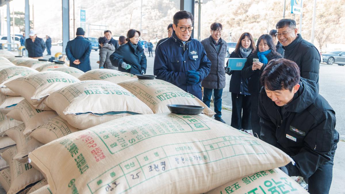 공공비축미곡 수매_가야면