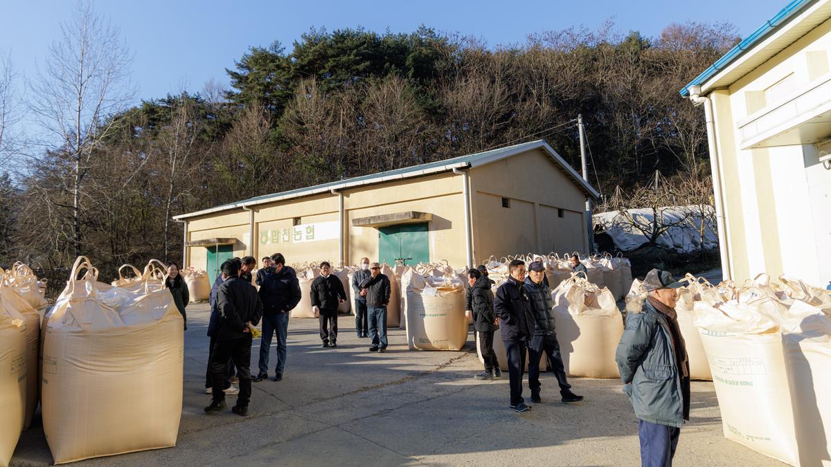 공공비축미곡수매_묘산면