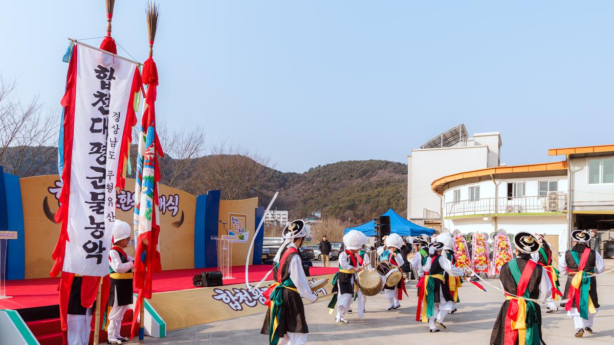 합천향토한우 초매식