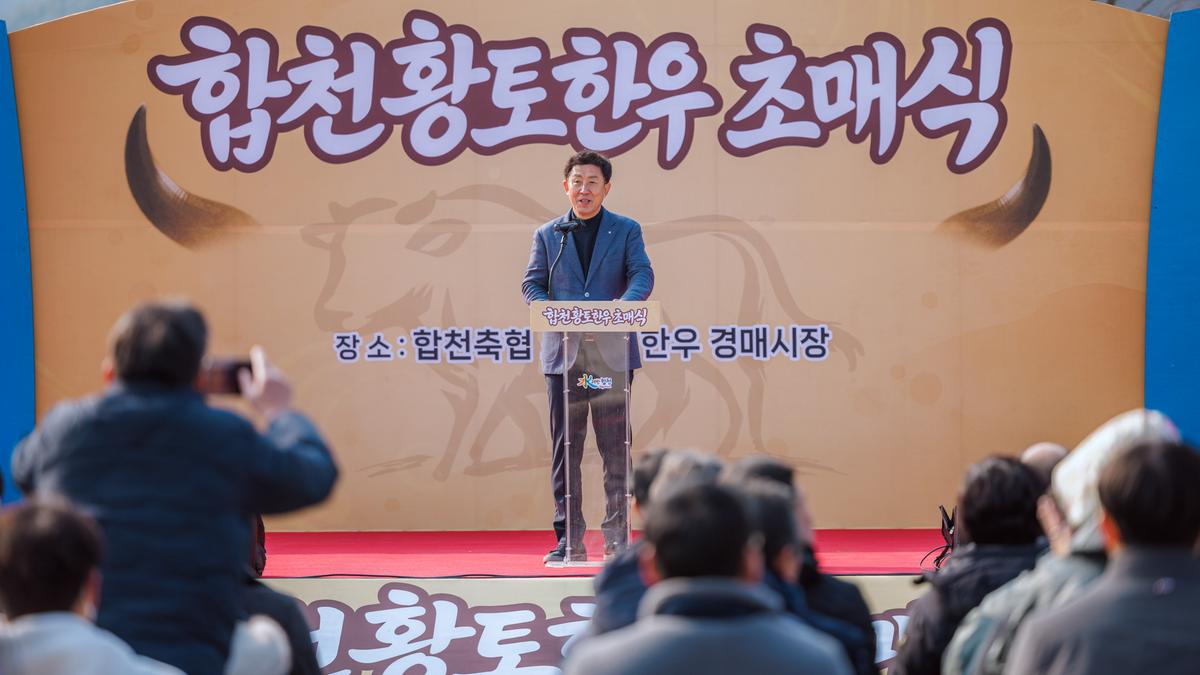 합천향토한우 초매식