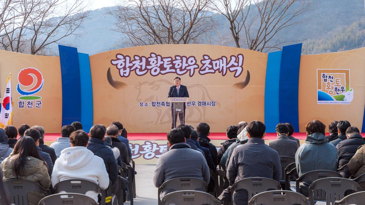 합천향토한우 초매식